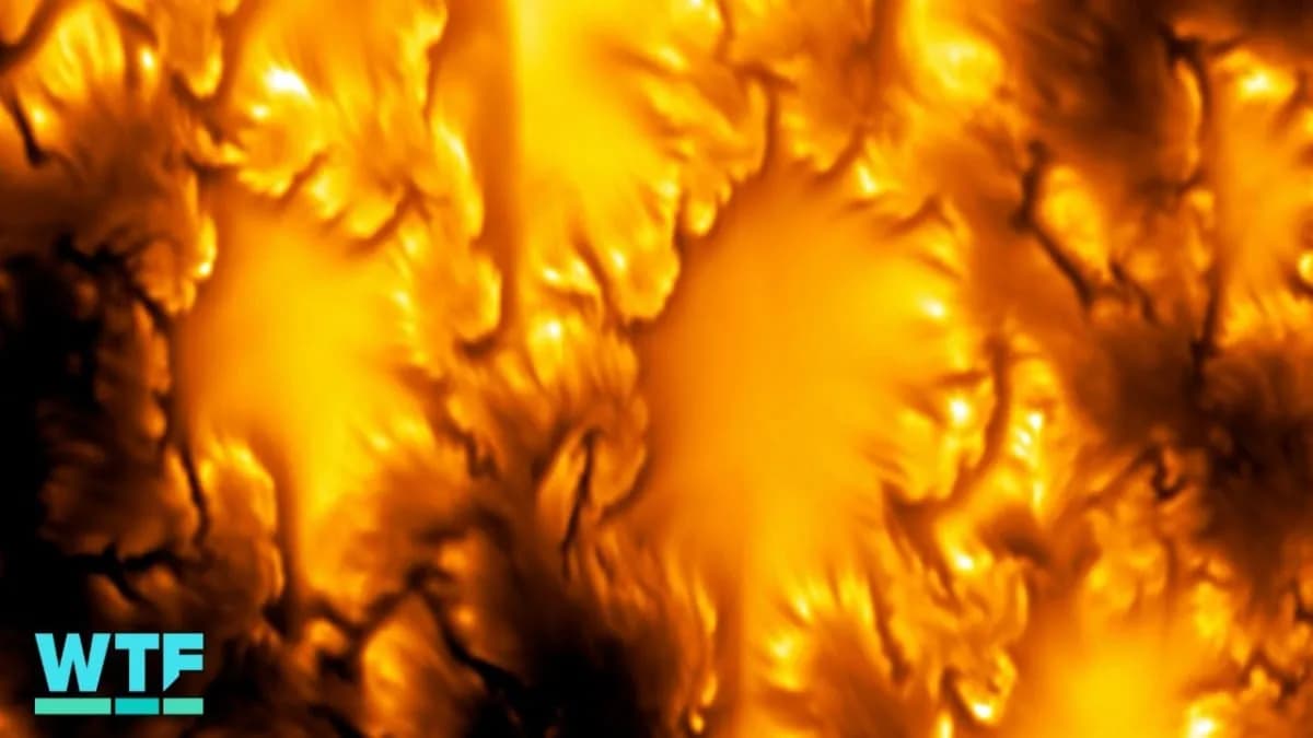 Highest-resolution video of the Sun ever captured