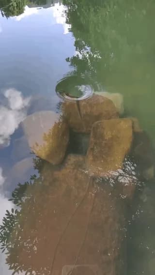 A small whirlpool swallowing a ping-pong balls.