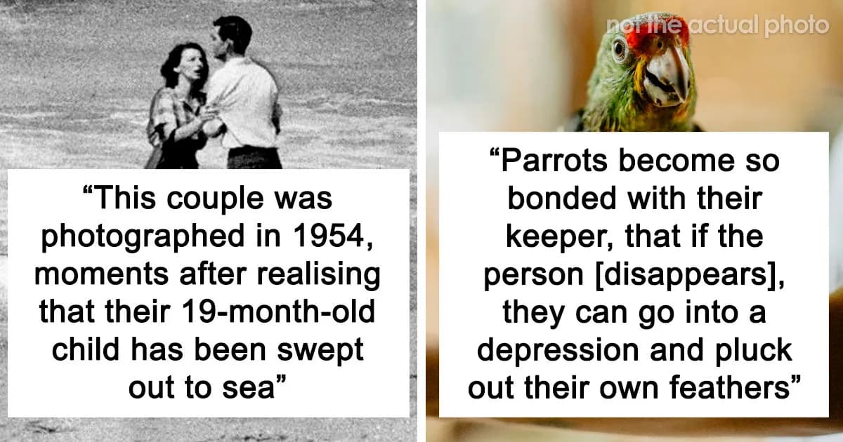 Unsettling Facts That Reveal How Strange Our World Can Be