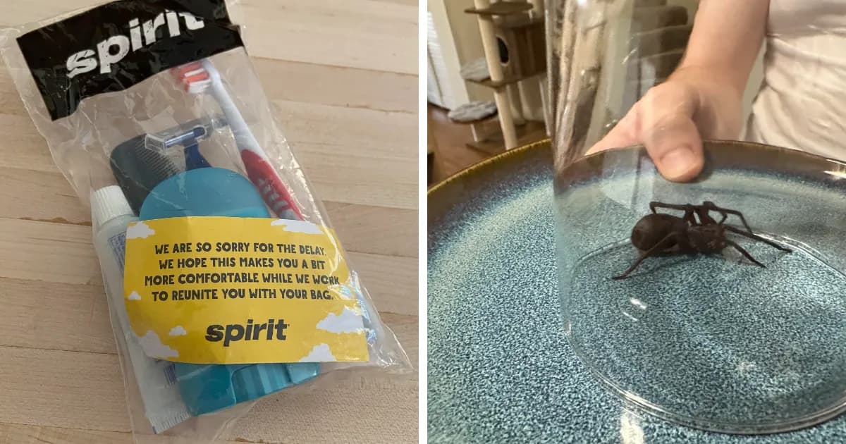 Luggage Trouble: Painful Baggage Fails That Went Completely Wrong