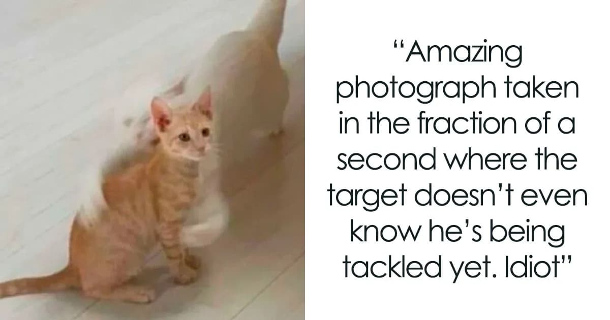 Best Things That Have Ever Been Shared On Tumblr