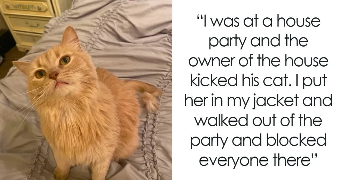 Secret Memories: 56 Harmless Things People Quietly Kept To Themselves