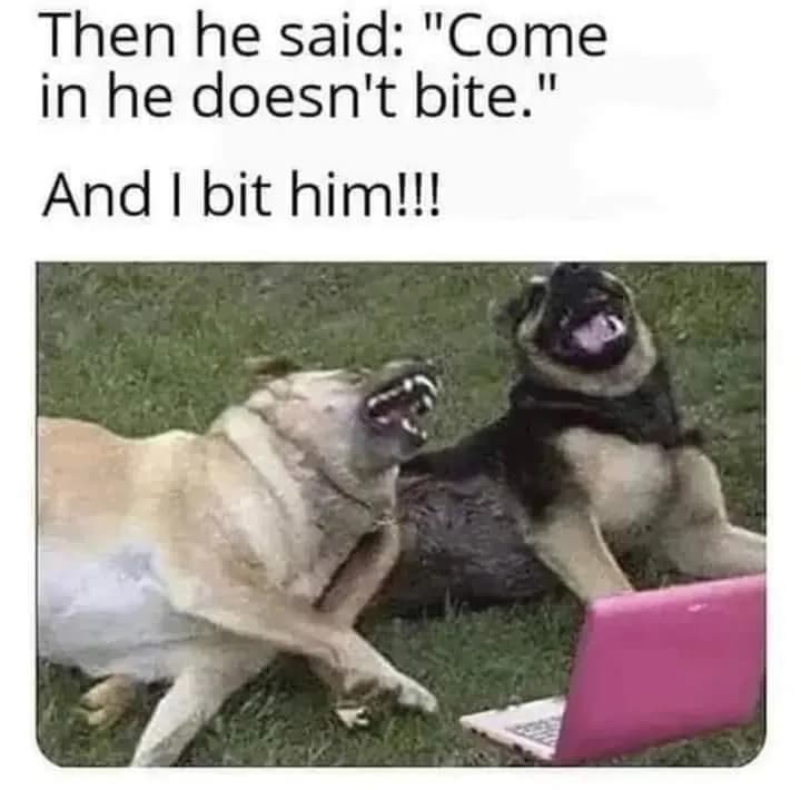 Its always the dogs