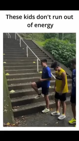 Impeccably organized teamwork