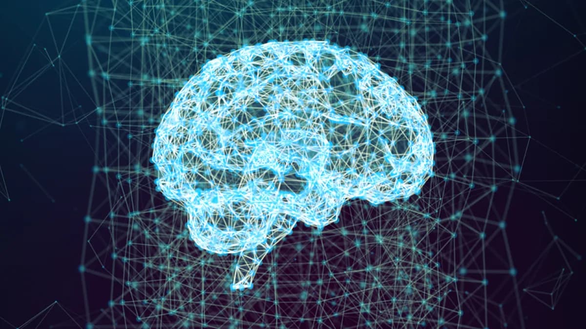 Scientists May Have Found The Exact Brain Cells Crucial For Sustaining Motivation