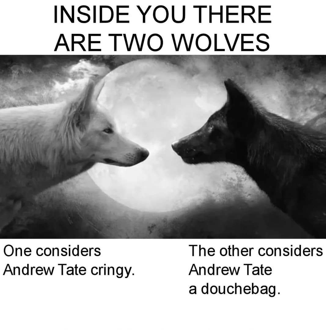 Two wolves