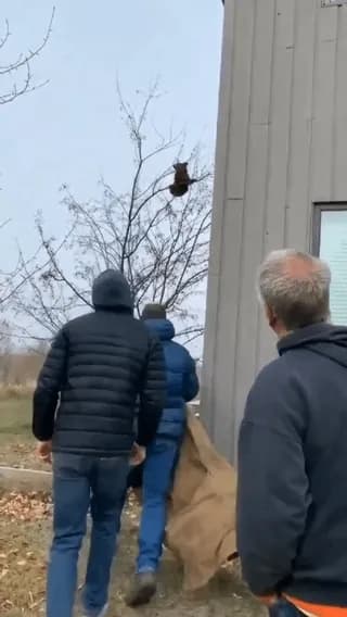 Bear in mind, if those guys hadn’t reacted, this could have had a grizzly ending.