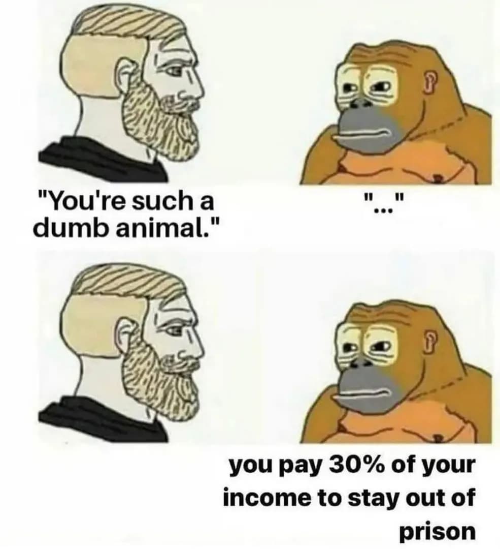 I mean the monkey isn't wrong.