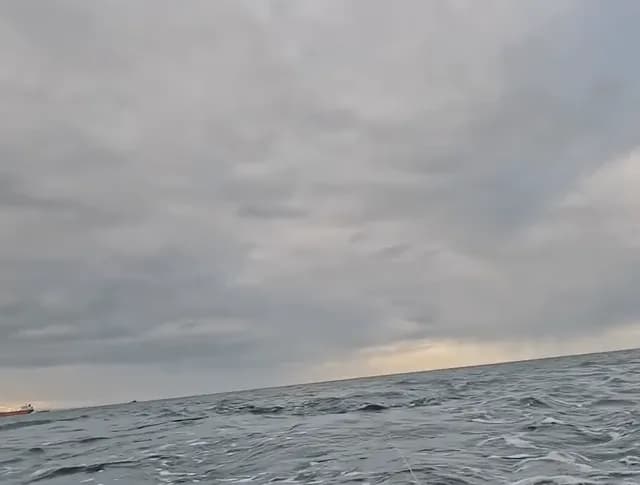 Great white shark "Zola" fully breaches the water while attacking a decoy seal