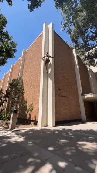 A man shows off his insanely fast wall climbing