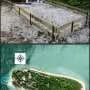 Moving turtle nests to save the eggs can have hidden consequences