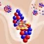 Exact calculations sharpen view of atomic nuclei