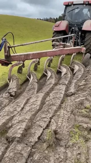 Satisfying turnplowing of a grassland.