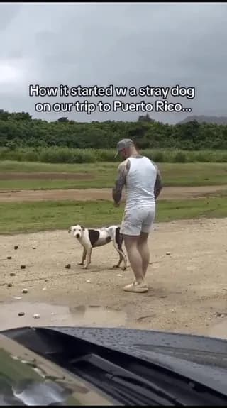 Couple Adopts Dog They Met on the Beach While on Vacation