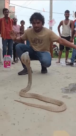 The snake whisperer