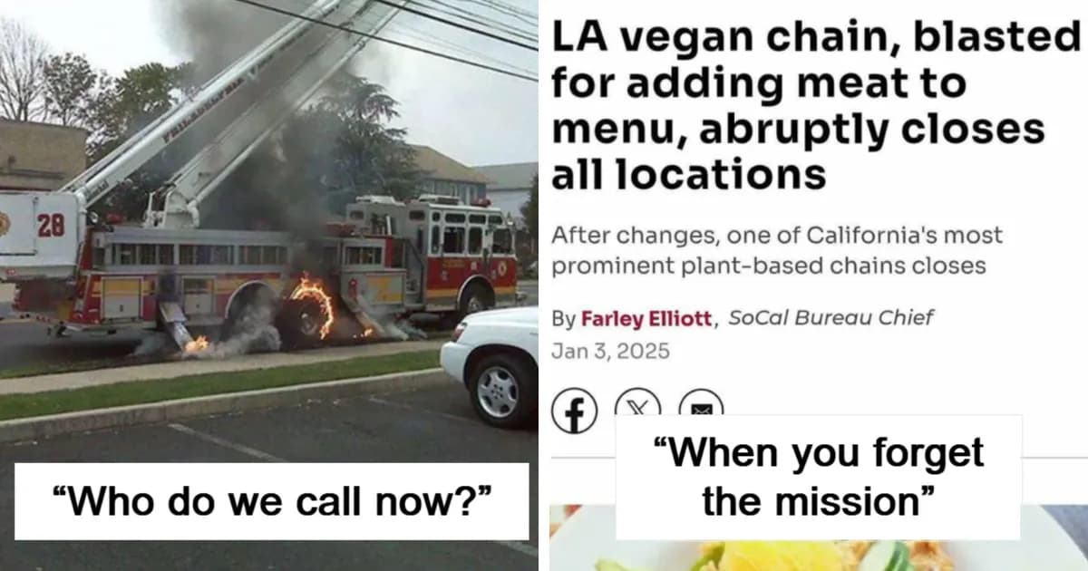 You Had One Job: 46 Fails That Were Almost Impressively Bad