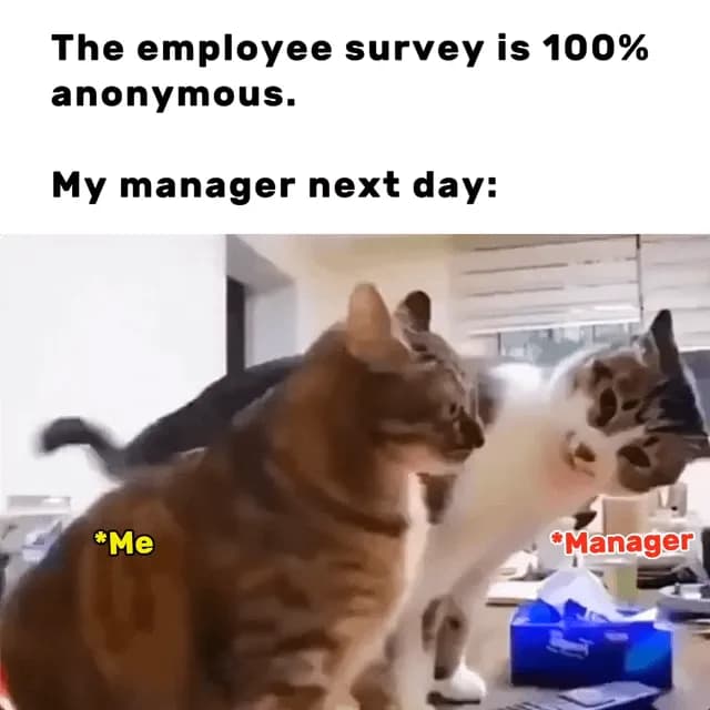 i love employee survey