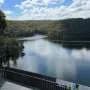 Sunscreen for lakes and dams: Could a thin floating layer of nanomaterial shield water from evaporation?