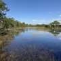 Even protected Florida wetlands can't escape microplastic pollution