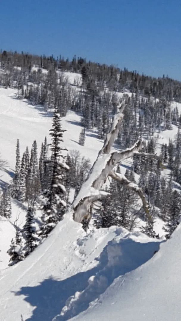 Travis Rice reshaped snowboard films 15 years ago with The Art of Flight