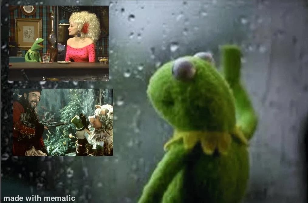 Has anyone checked on how Kermit is doing?