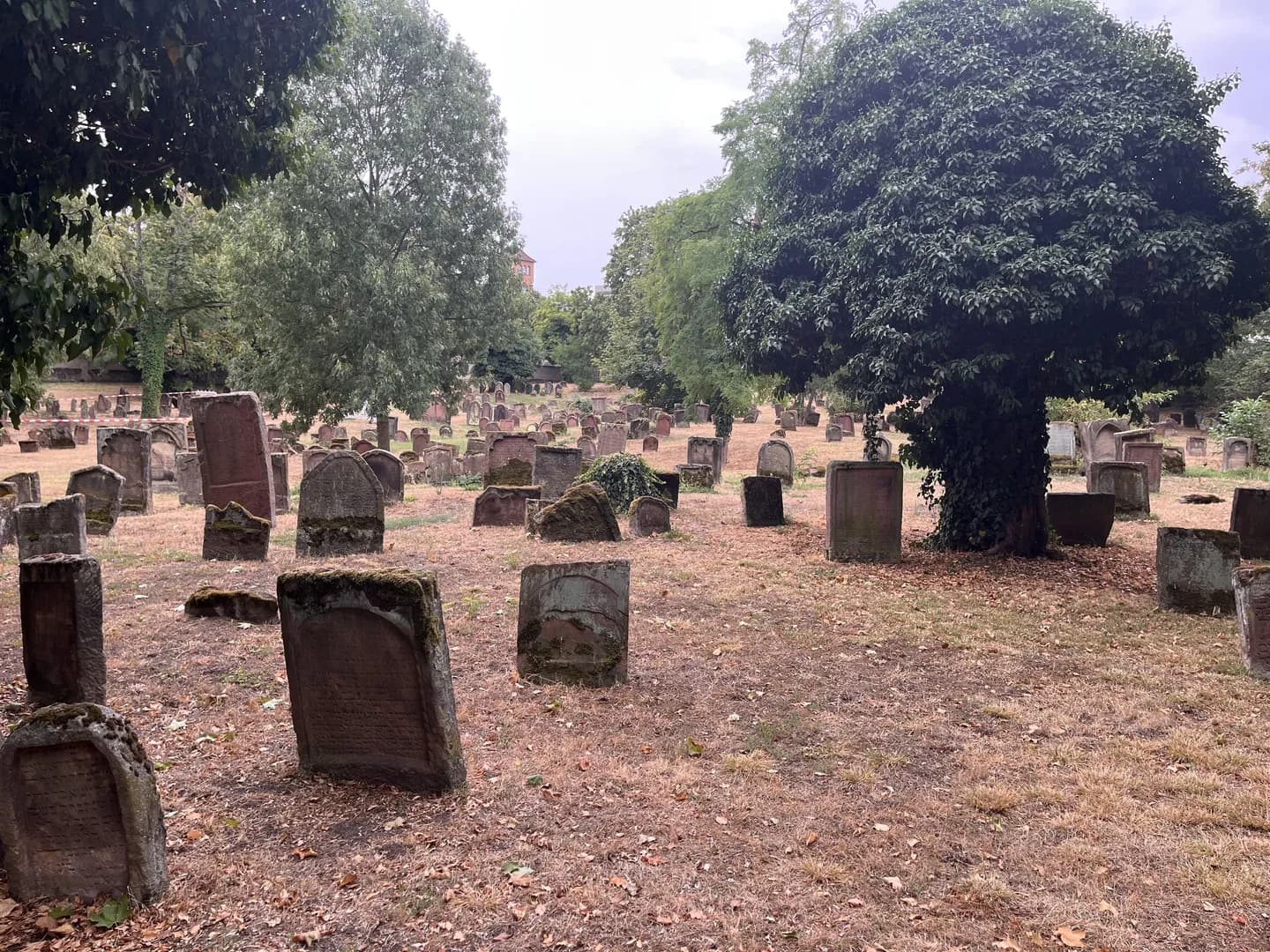 Jewish Gravestones in Worms Dating Back to 1058