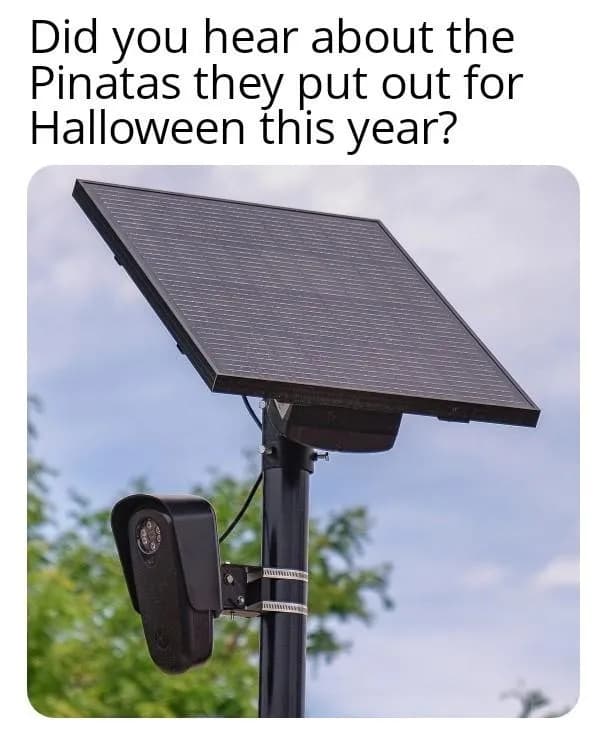 I hear they're filled with gold coins.