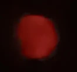 Ross fire in north Texas causes red moon. (Pics are bad because I took them with my phone and this is just to illustrate how red it was. I wish I had my camera last night.)