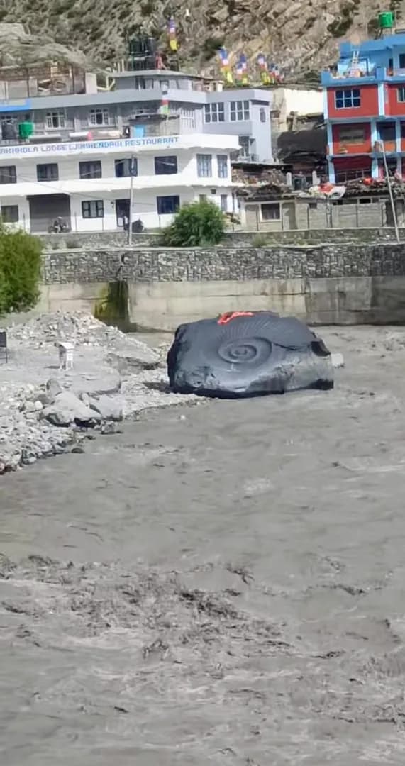 Ancient ammonites uncovered in nepal flood.