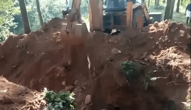 Wildlife Officials in Kerala, India rescue baby elephant from a ditch. Elephant herd salutes the men before leaving
