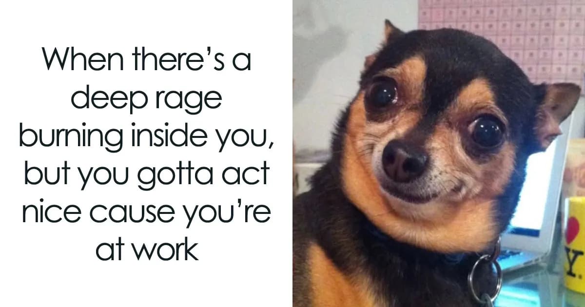 A Dog Toy Company Shares Memes About Its Favorite Customers