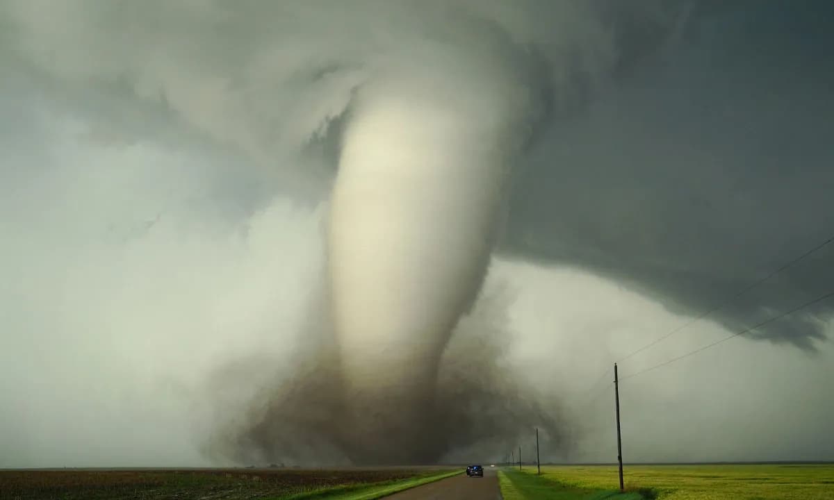 57 Insane Things That Somehow Happened At School Of All Places And People Canāt Forget