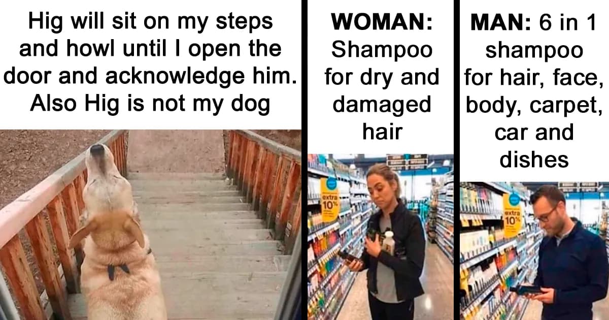 Amusingly Random Memes About Everything And Anything