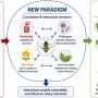 Honey bees can serve as sentinels for environmental health