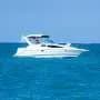 Motorboat noise stunts growth and impairs predator escape in reef fish, study shows