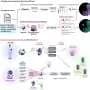A Google-like search engine for single-cell RNA data could answer previously impossible questions