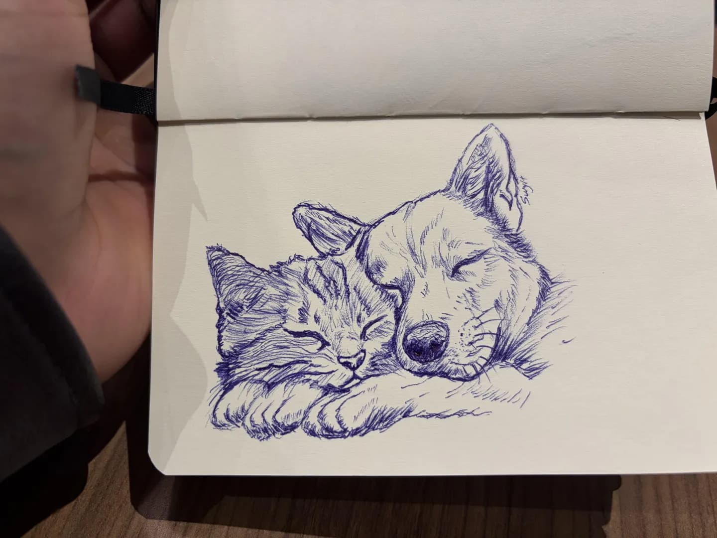 ballpoint