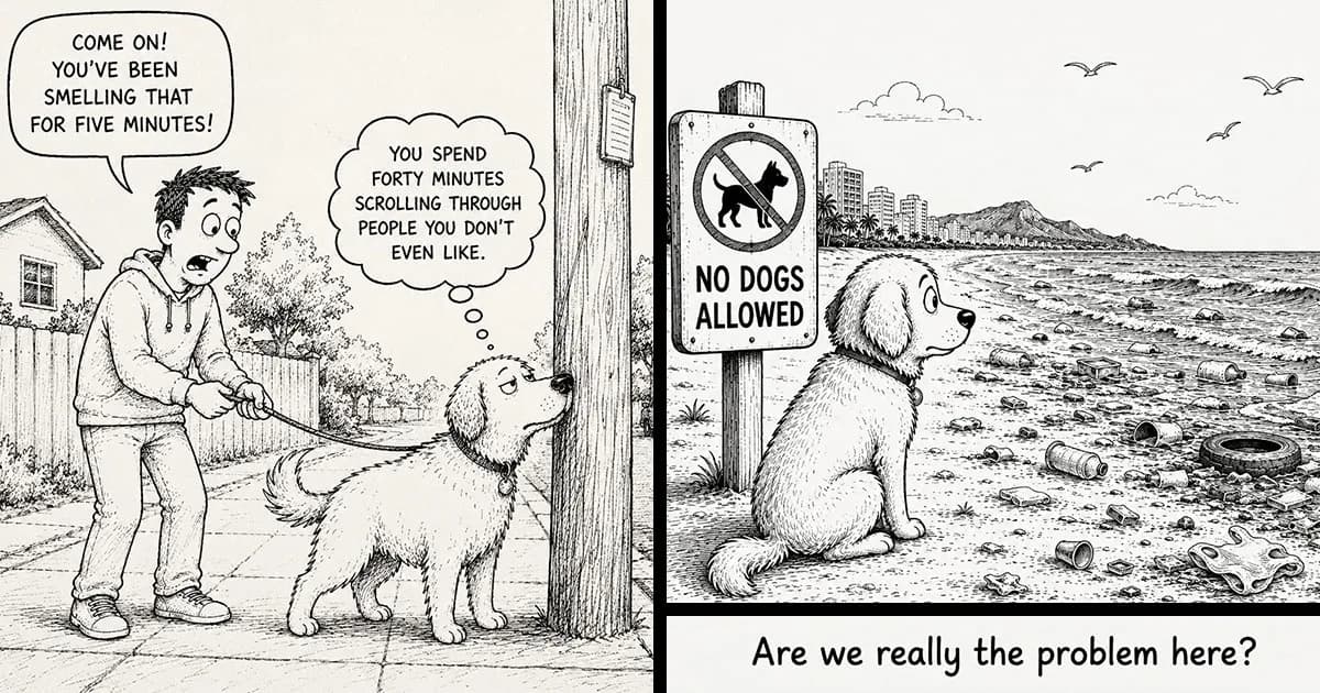I Imagined The Thoughts Running Through A Dogās Mind And Turned Them Into 22 New Comics