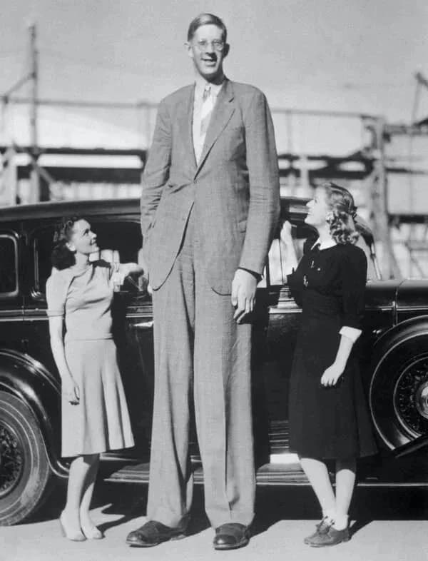 Robert Wadlow was an American man known for being the the tallest person ever recorded at 8โ11โ. He Weighed 439 lbs (199 kg) at his death at age 22.