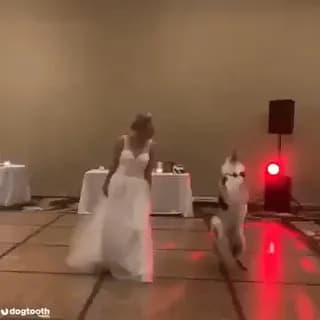 Doggo's first dance