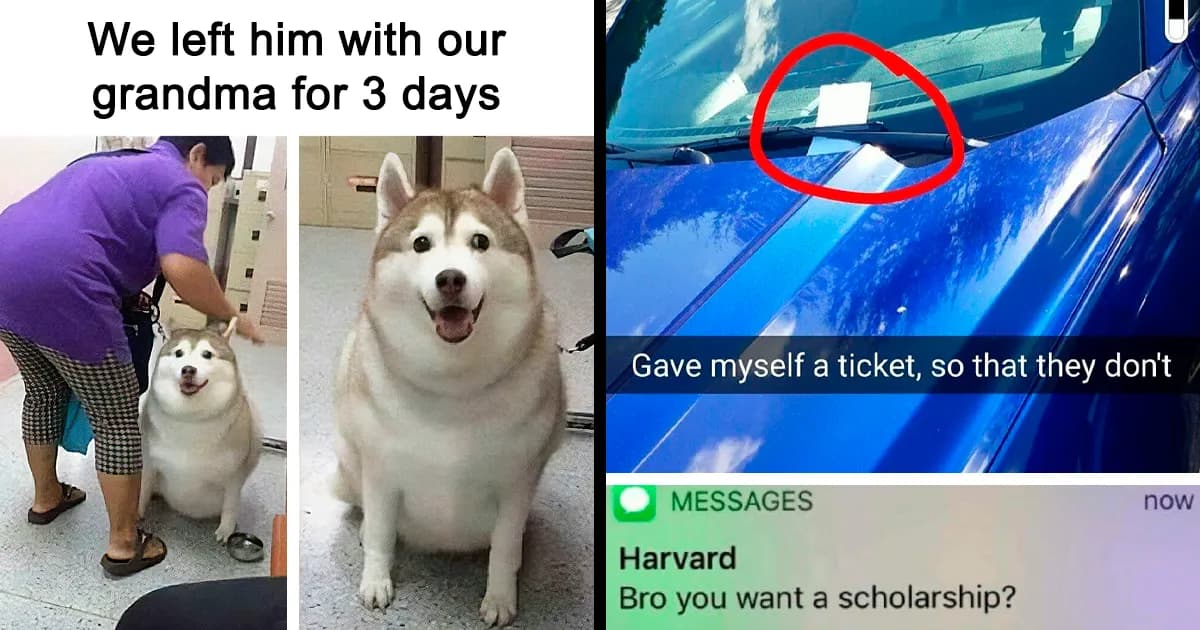Random Memes To Make Procrastinating A Little More Fun