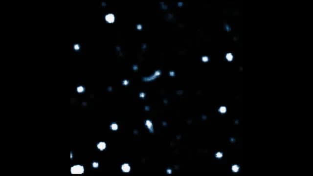 Twenty year time-lapse of stars at the center of our galaxy, orbiting the massive black hole located there (Sagittarius A*).