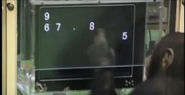 In a 2007 Kyoto University study, chimpanzee Ayumu was shown numbers 1-9 in different positions on a screen. After he touched the first number, the rest were hidden, yet he continued in the correct or
