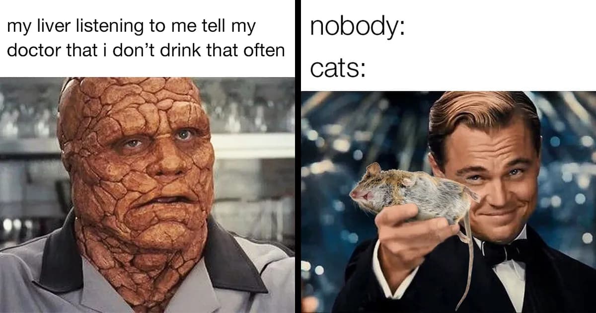 A Little Humor Helps: Pretty Cool Memes Worth A Scroll