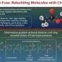 'Cut-to-fuse' strategy: A new route for molecular skeletal editing