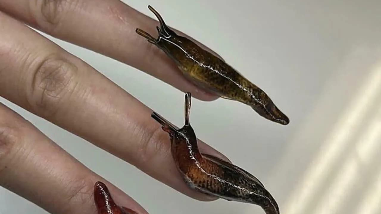 āUsing Their Talent For Evilā: 92 Awful Ideas That Were Executed With Almost Disturbing Levels Of Skill