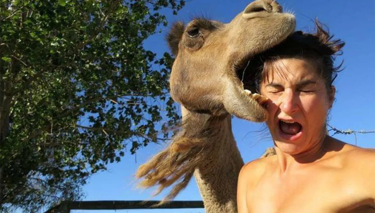 This Page Shared 50 Funniest Animal Photos That Deserve A Comedy Award
