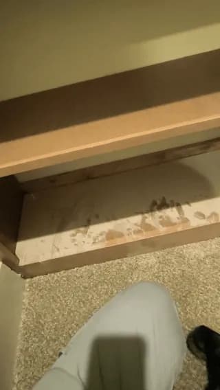 Vacuuming a shelf