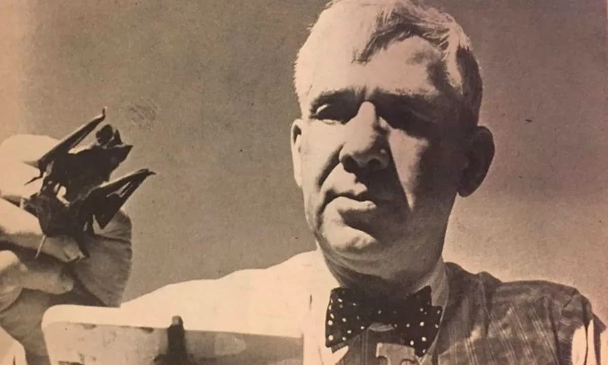 Bat Bombs: The Unbelievable WWII Superweapon That Almost Happened, But Never Would Have Worked