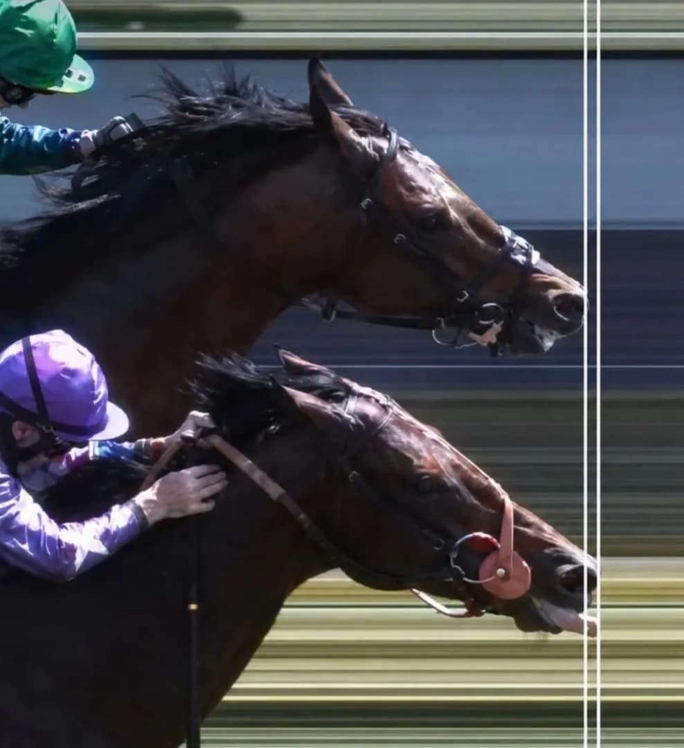 This horse named "Oh This Is Us" really hit the Lightning McQueen move at the 2021 Cazoo Diomed Stakes.
